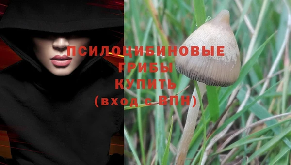 MESCALINE Няндома