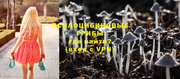 СК Нягань